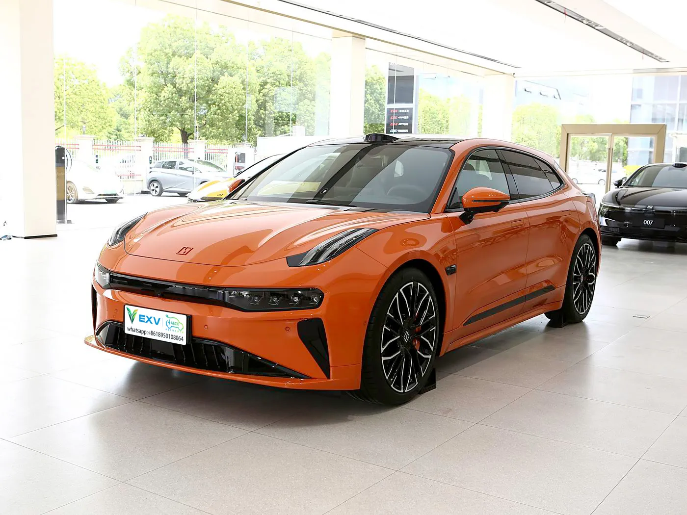 Quid faciat 2025 Zeekr 001 All-Wheel Drive Sta in EV Market
